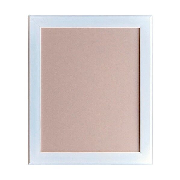 デッサン額 APS-01 A4 屋内用