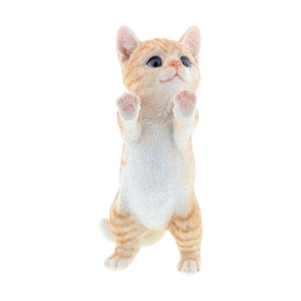 ベニーズキャット(外を眺める)QY-081Y 6300025631 1点