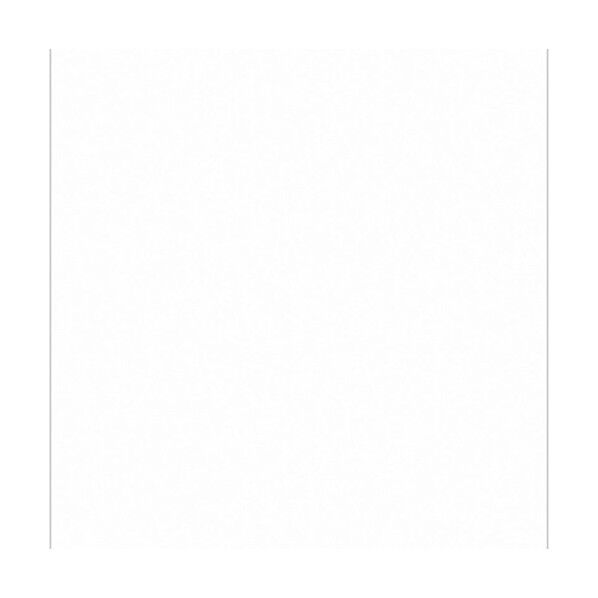 ニューカラーボード ホワイト 5mm厚 A1判 素板 BP-5CB-A1-WH バラ売り 6300023617 1点