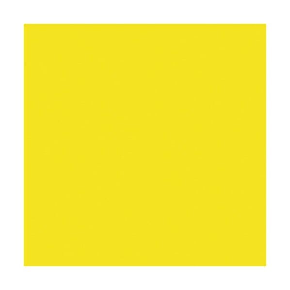 ニューカラーボード 蛍光イエロー 5mm厚 3X6判 素板 BP-5CB-3X6-FY バラ売り 6300023610 1点