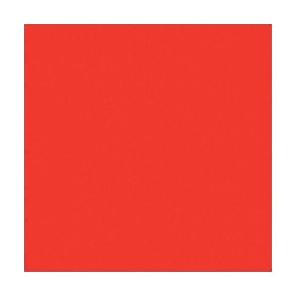 ニューカラーボード 蛍光レッド 5mm厚 3X6判 素板 BP-5CB-3X6-FR バラ売り 6300023612 1点