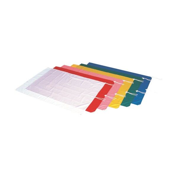 大旗P 青 EKA647 6300027675 1点