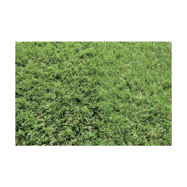 バロン人工芝 100cm×10m 6300027847 1点