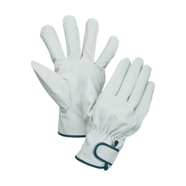 南国クレストマジック付 113W 6300028846 10双