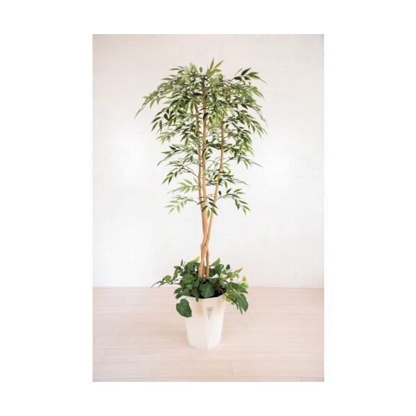 人工樹木/人工観葉植物 シラカシ寄植 6300028762 1点
