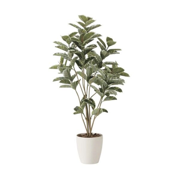 アルテシマDX1.6m 6300029261 1点