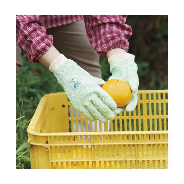 TOWA(トーワ) ビニスターサンデーG付の通販｜即日出荷19万点以上