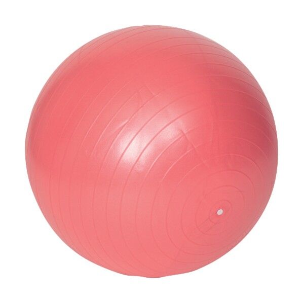 ヨガシェイプアップボール55cm 742801 1点