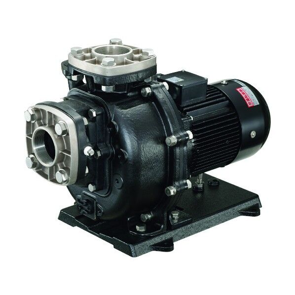 海水用自吸式うず巻ポンプ 60HZ 口径80×80mm 三相200V 80TPSPZ-37033B-P 1点