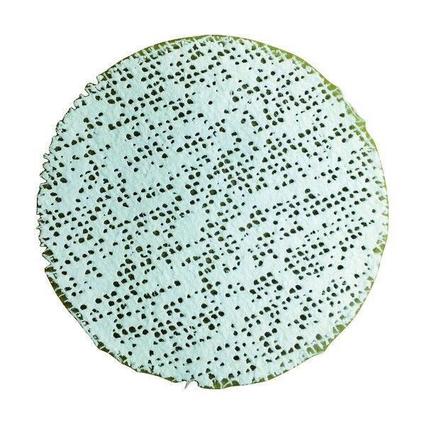 フィックスイット