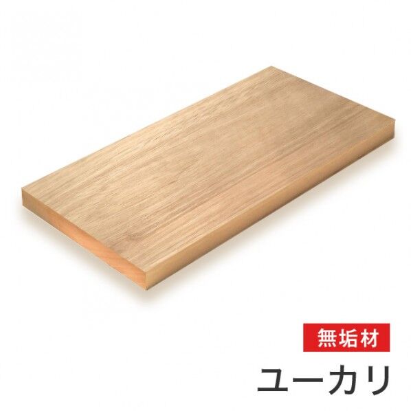 ユーカリ無垢材(サイズ:20×100×1000mm) 20×100×1000mm m039 1枚