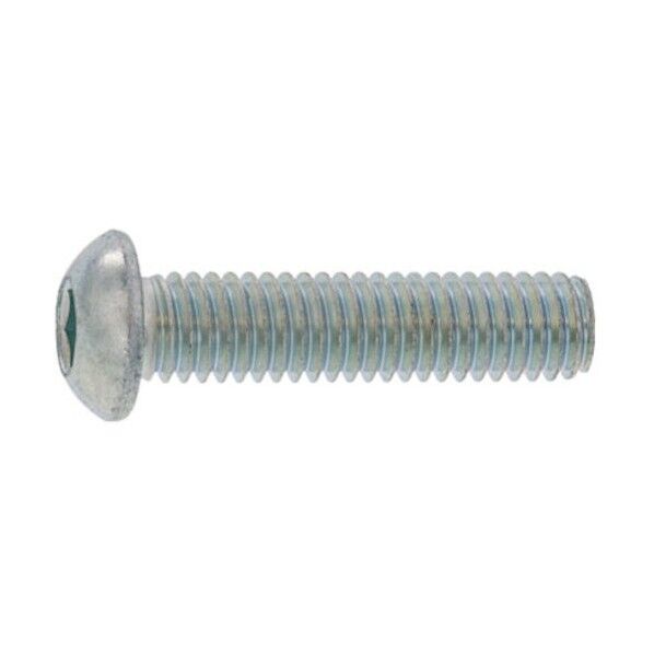 ボタンCAP(日産ネジ JIS B 1174 10×15 A0-00-100N-0100-0150-00-20 20本