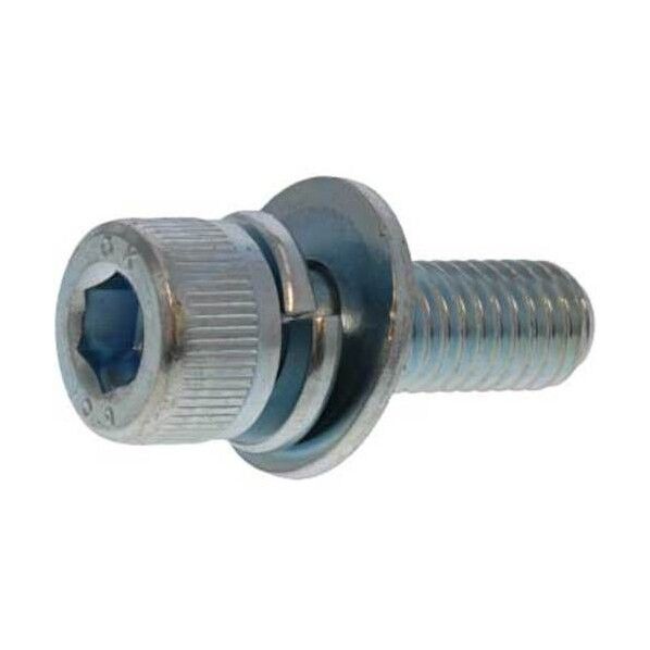 3価ホワイト 10.9CAP P=3 岡井鉄工所製