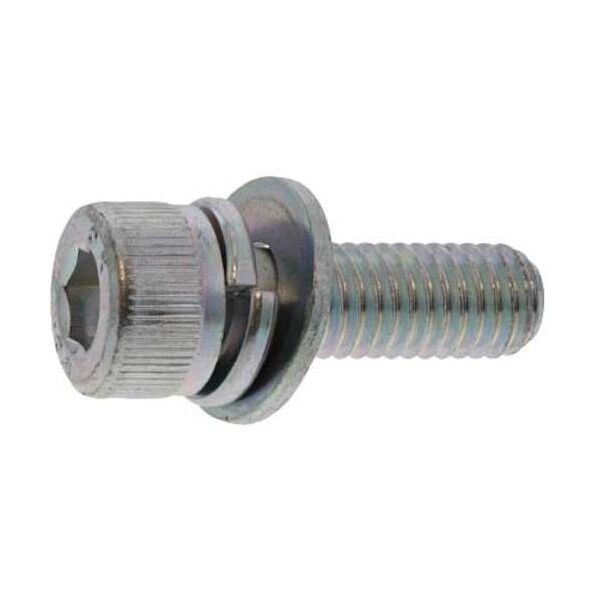 10.9CAP I=3(岡井(鉄・三価ホワイト)