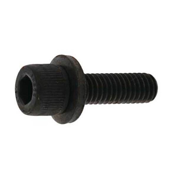 10.9GT-L CAP 6 X 16 A0-00-9L00-0060-0160-00-10 10本