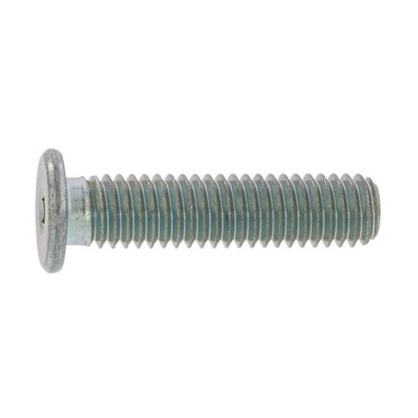 三価ホワイト 極低頭キャップ 4×8 A0-00-L100-0040-0080-03-10 10本