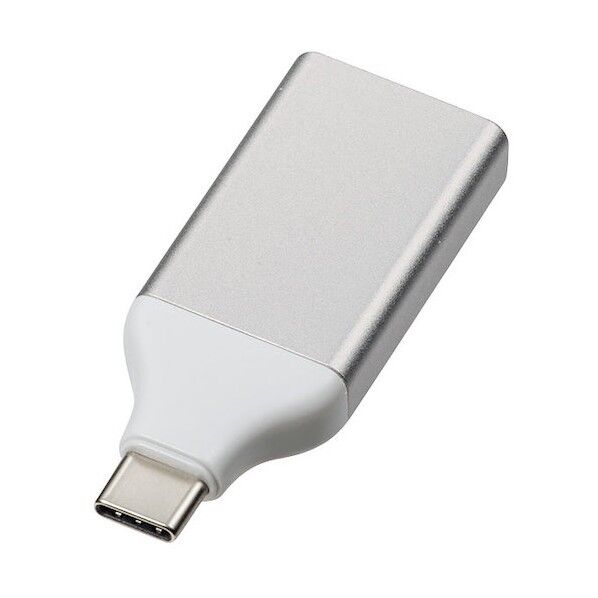 サンワサプライ TypeC(DP Altモード)-DisplayPort変換アダプタ AD-ALCS-DP 1点