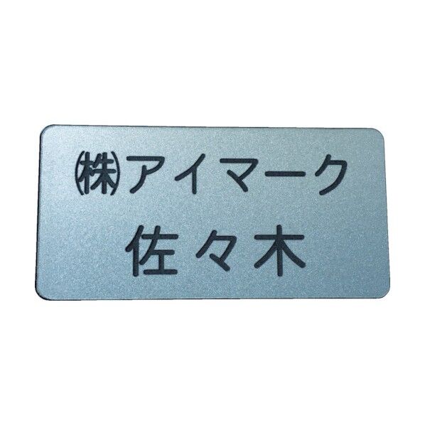 別作名札 彫刻タイプ・シルバー地黒文字