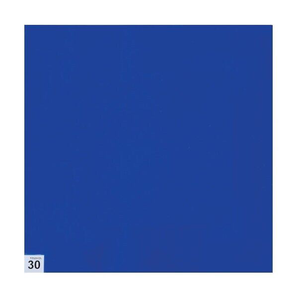 トラスコ(TRUSCO) まとめ買い エアーシャワー用粘着シート(穴なし) 300X300 30枚 中粘度 青 10シート ASSF-3030B-M10 10セット
