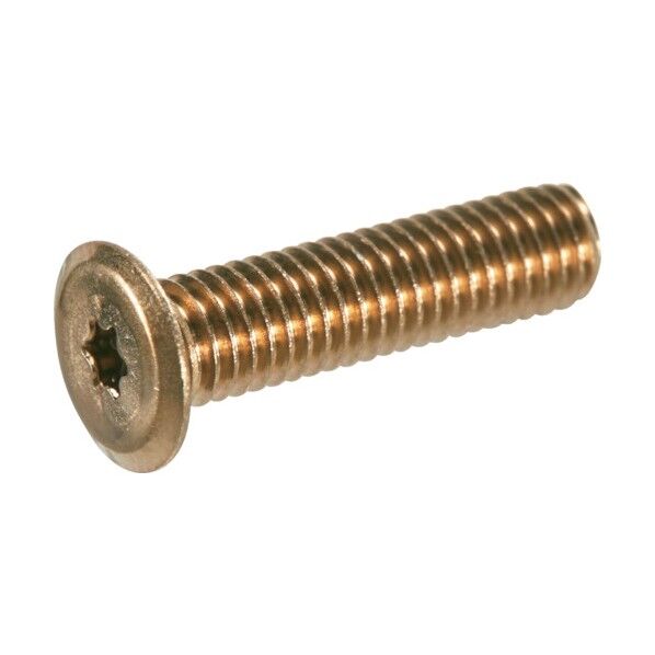 トラスコ ヘックスローブ超極低頭ねじ ステンレス ライトブロンズ M5×8 B187-0508 10本