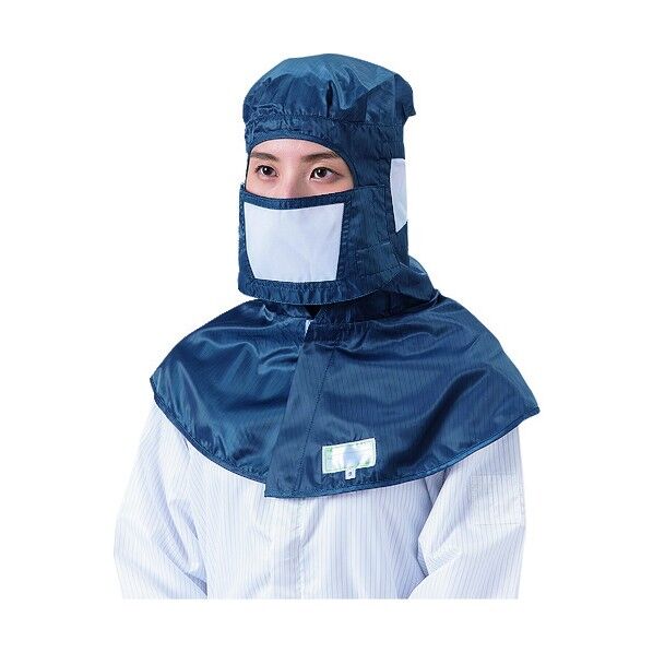 マスク(クリーンパック)