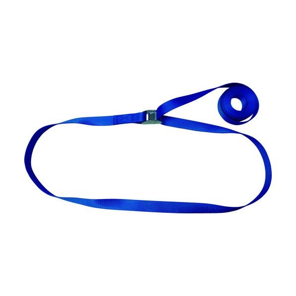 ラッシングベルト(カムバックル式) エンドレス