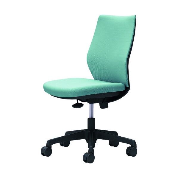 CG-M 肘無 背パッド ハンガー無 ブラックボディ ナイロンキャスター セージ CG17ZR FZH6 1点