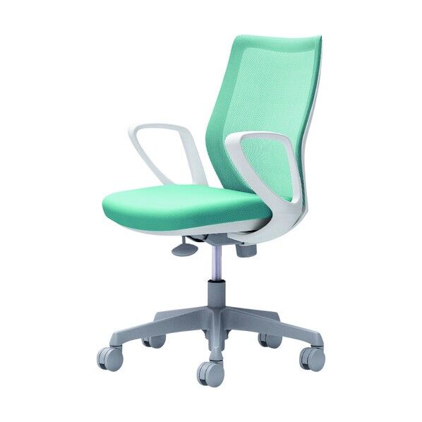 CG-M 固定肘 背メッシュ ハンガー無 ホワイトボディ ナイロンキャスター セージ CG21WR FZK6 1点