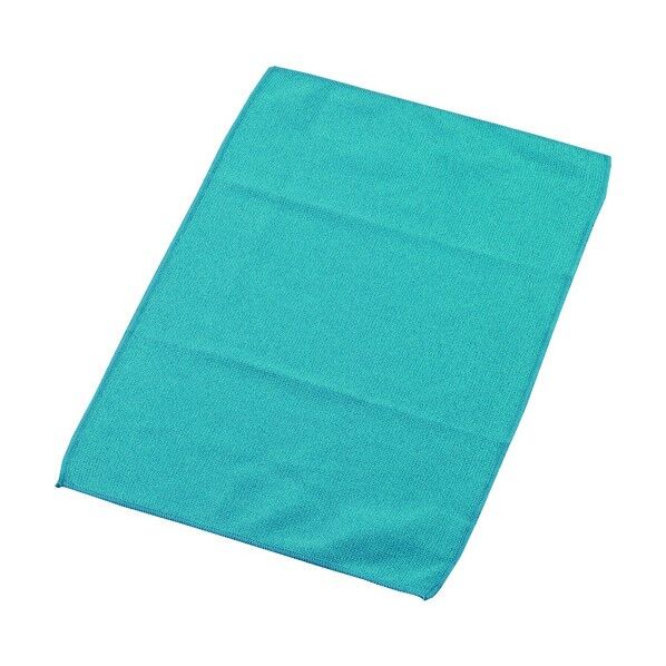 EFウィンドークリーナーマイクロダスター