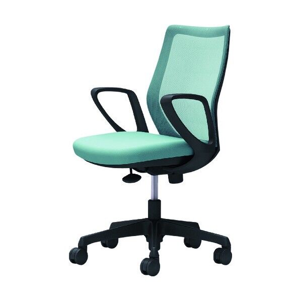 CG-M 固定肘 背メッシュ ハンガー無 ブラックボディ ナイロンキャスター セージ CG21ZR FZK6 1点