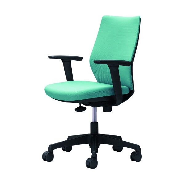 CG-M 可動肘 背パッド ハンガー無 ブラックボディ ナイロンキャスター セージ CG97ZR FZH6 1点