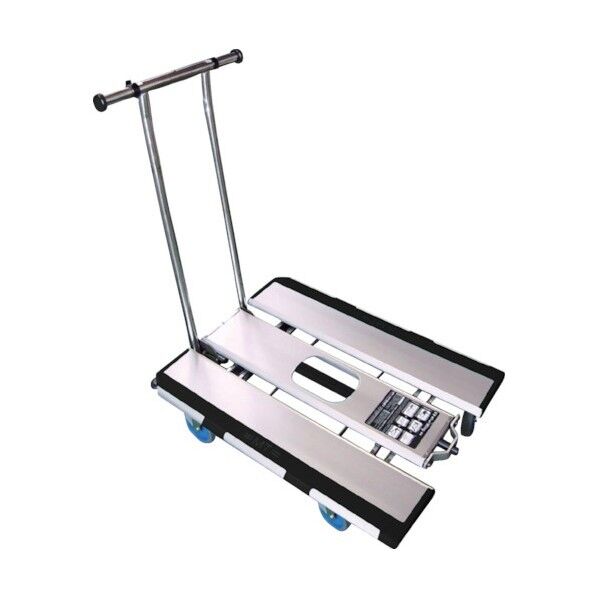 MTカートウィング100