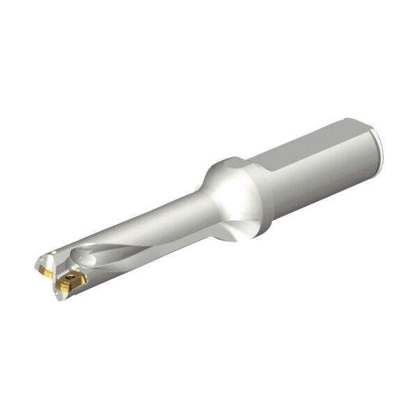 コロドリルDS20刃先交換式ドリル(465) DS20-D1500L20-04 1点