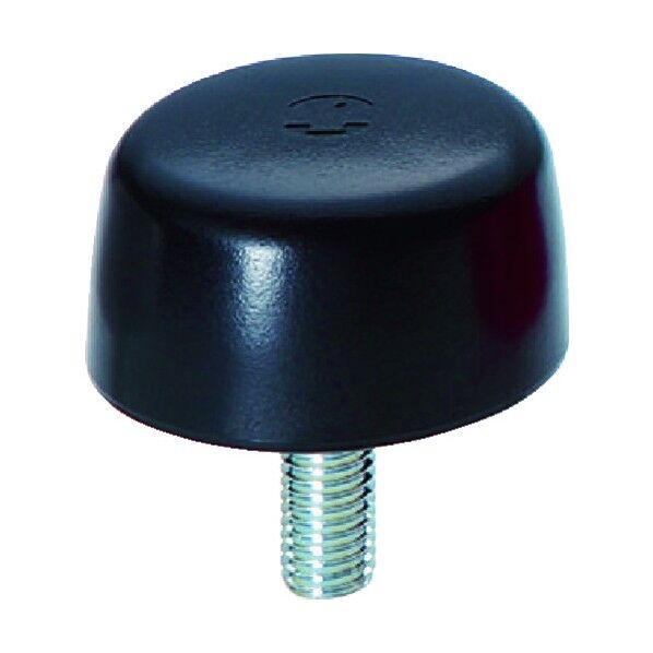 イーグルスターノブ 一郎