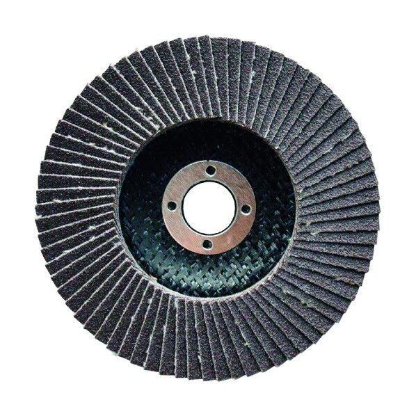 ボッシュ 研磨ディスク 125mm Vシリーズ バッグセット