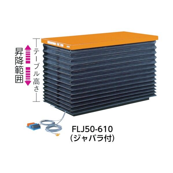 FLJ100-713