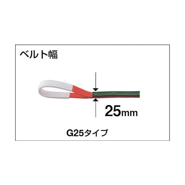 トラスコ ベルトスリングＪＩＳ３等級両端アイ形２５ｍｍＸ１．０ｍ 427 x 114 x 37 mm G25-10 (25MMX1.0M) 1点