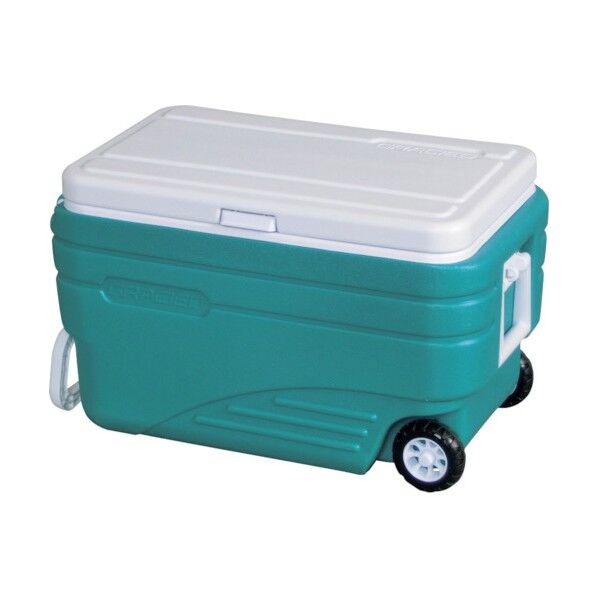 グラシード キャスター付