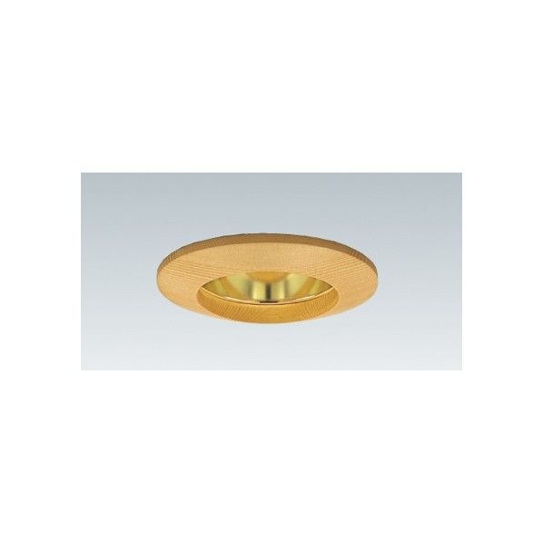 和風ベースダウンライト Φ100