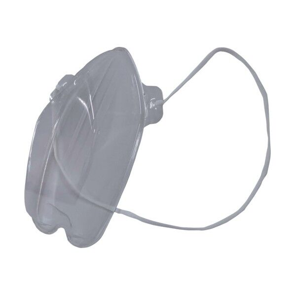 HC透明マスク 100セット フリーサイズ HCTS100 1点