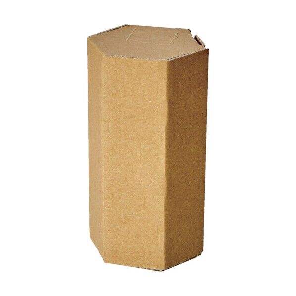 ヘキサゴンパック 10本入り HEXAPACK 1点