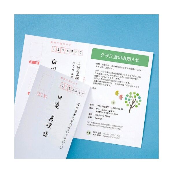 サンワサプライ インクジェット往復はがき(つやなしマット) JP-HKDP20N2 20枚