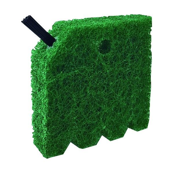 まめいた 焼きアミたわし