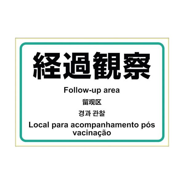 はがせる!ピタロングステッカー 経過観察 KLS084 1点