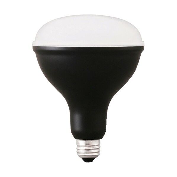 投光器交換電球