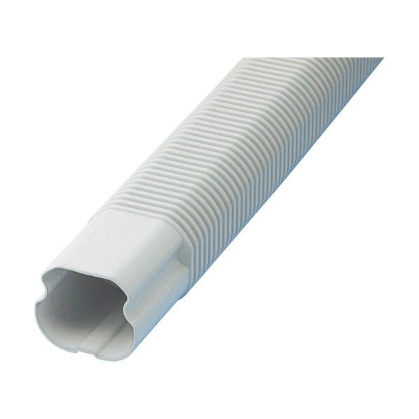 フリーコーナー