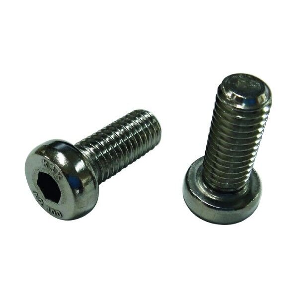 ローヘッド六角穴付きボルト SUS304CUN 全ねじ 12x20 LHCS-304CUN-1220 1点