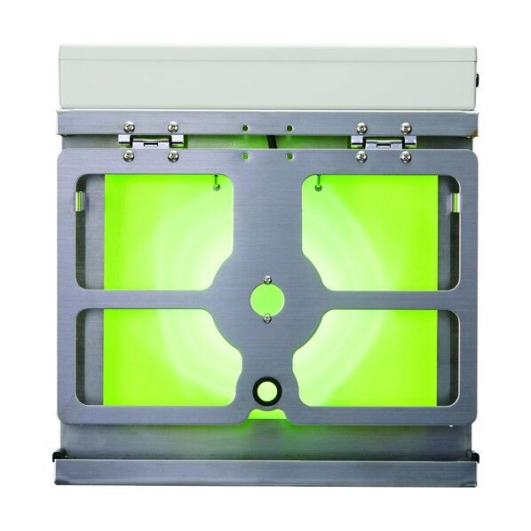 ルーチ・虫とら BIG