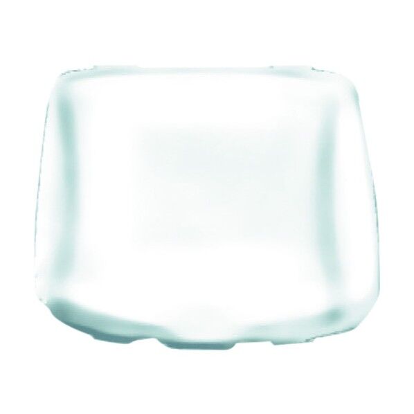 プロテクターレンズL1