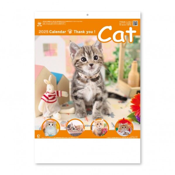 サンキュー・キャット